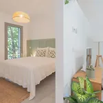 Ginepro & Salvia In By Rent *