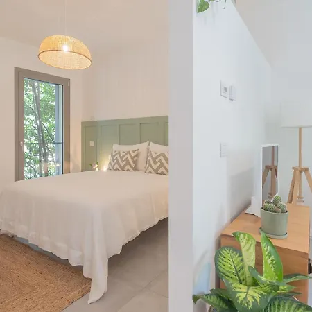 Ginepro & Salvia In By Rent *